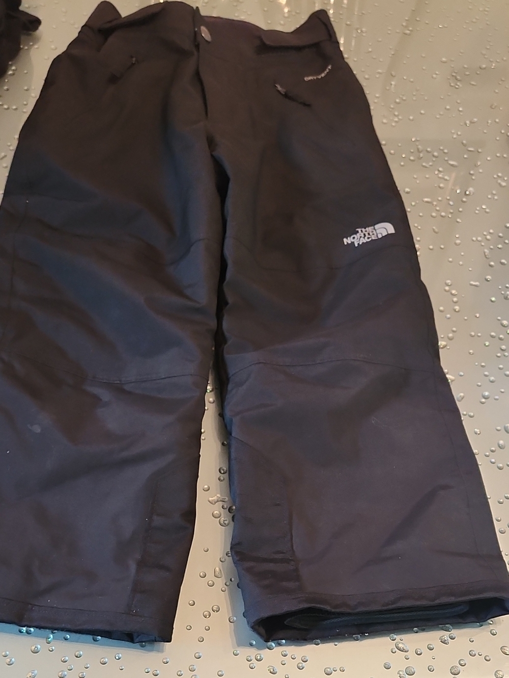 The North Face Black Insulated Ski Pants